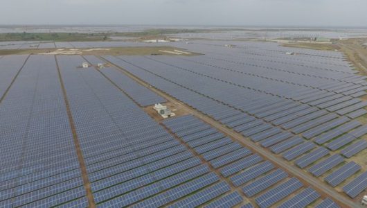 Risen Reaffirmed as India’s Number 1 PV Supplier