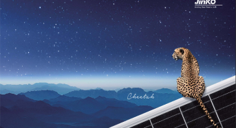 JinkoSolar Supplies 150 MW Cheetah Panels for Three Projects in Cambodia