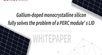 Gallium-Doped Monocrystalline Silicon Fully Solves the Problem of a PERC Module’s LID