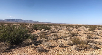 BLM and DOI Issue Final Record of Decision for Milestone 690MW Gemini Solar and Battery Storage in Nevada