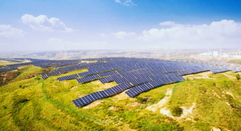LONGi Supplies 228 MW of High-Efficiency PERC Modules for “Agriculture-Solar Complementary” Project in Ningxia