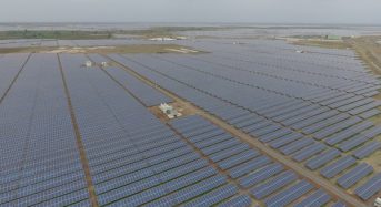 Risen Reaffirmed as India’s Number 1 PV Supplier