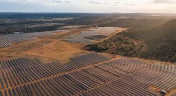 280 Megawatt-dc Holstein Solar Project Achieves Commercial Operation in Texas