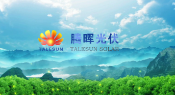 Talesun Solar to Supply 108 MW to Alledo Parts in Poland