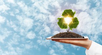 PV Module Recycling Needs Adaptable Infrastructure and High-Purity Silicon Recovery