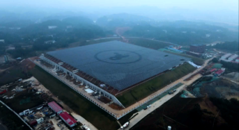 Photovoltaic + Water Purification: LONGi Sustainable Development Model Lights the Way for Future Energy Transition