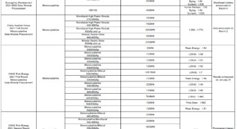 Large Modules Account for 77% of Submitted Bids for China’s 15GW of Module Tenders in Recent Months
