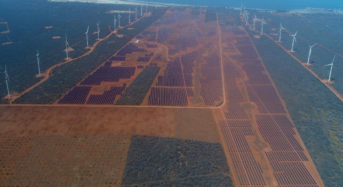 ReneSola to Achieve 200MW in Shipments to Brazil in 2021