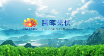 Talesun Partners With ARTsolar to Develop South African Market Through Product Localization