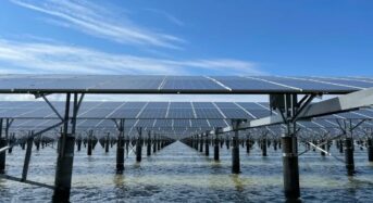 Chint Completes Grid Connection of the World’s Largest Coastal Wetland Solar Farm