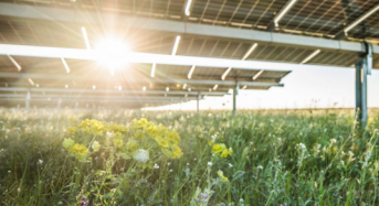 McDonald’s and eBay Team Up With Lightsource bp to Power US Operations With Solar