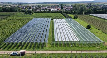 BayWa r.e. and Fraunhofer ISE Establish First Agri-PV Research Facility for Apples in Germany