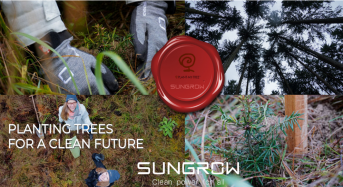Sungrow Is Following The Way For Green Christmas Campaign: Plant Trees For A Cleaner Future
