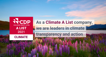 Scatec Received an ‘A’ Score for Tackling Climate Change by CDP