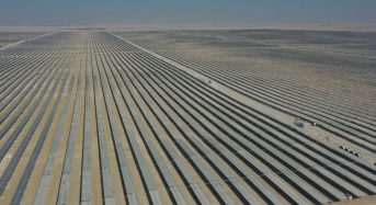 LONGi Supplies 800MW of Bifacial Modules for the First Solar Power Plant in Qatar