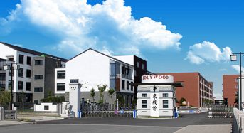 Jolywood Joins in Industrial Silicon Games With New Investment