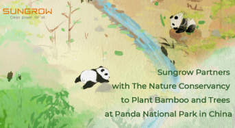 Sungrow Partners with The Nature Conservancy to Plant Bamboo and Trees at Panda National Park in China