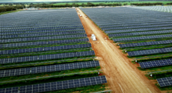 Hillston Solar Farm Reaches 100% Generation