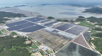 LONGi and Top Solar Complete 100MWp Ground-Mounted Project in South Korea