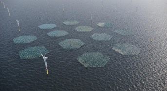 SolarDuck Will Build Largest Offshore Floating Solar Plant Together With RWE