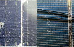 Watch Out! Damage of PV Module May Cause by Improper Weeding Method