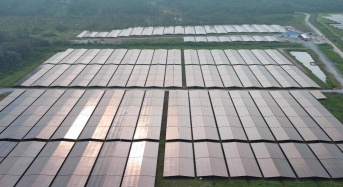 GoodWe Achieves a 10.95MW Large-Scale PV Project in Malaysia, Debuting Its One-Stop Ground Solution