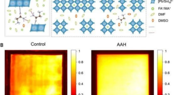 24.5%! Breakthrough in Conversion Efficiency of Large Area Full Perovskite Tandem Solar Cells by Tan at Nanjing University