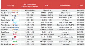 Half of 60 Chinese PV Companies Listed Forecast Net Loss in Profit 2023