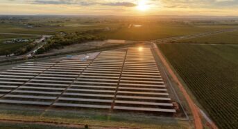 Trinasolar Powers Casella Family Brands’ Landmark Solar Farm, the Largest in Australia’s Beverage and Wine Industries*