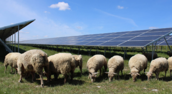 BayWa R.e. Transforms Former Military Land Into Solar Energy Hub