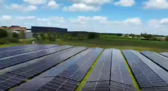 Discover Tongwei Solar Journey in Netherlands