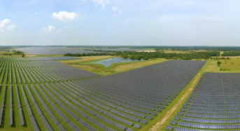 326MW! Enel Starts Up Solar Plant for Nestlé in Texas