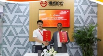 95MW! Tongwei to Supply Solar Modules for SUN City