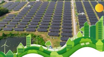 Tongwei Solar: Protecting the Earth is our responsibility