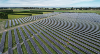 Astronergy Empowers RCR Green’s 7.2MW Sheep-Based Agrivoltaic System in New Zealand