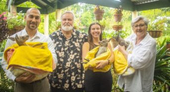 GoodWe Powers Wildlife Rescue with Donated Solar System in Australia