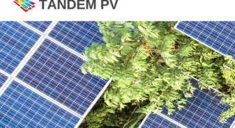 $50 Million! Tandem PV Starts Perovskite Manufacturing with Investment