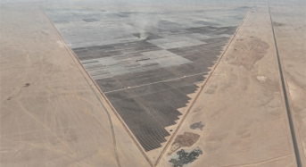 1.1GW！Solar Project Full Grid Connection Achieved in Saudi