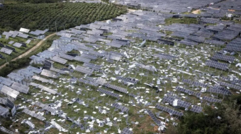 Typhoon Ragasa Devastates Yangjiang Solar Farm in Guangdong of China
