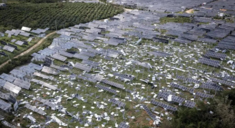 Typhoon Ragasa Devastates Yangjiang Solar Farm in Guangdong of China