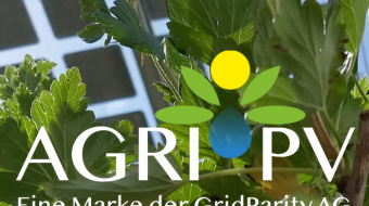 German Solar Firm Grid Parity AG Enters Preliminary Insolvency