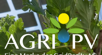 German Solar Firm Grid Parity AG Enters Preliminary Insolvency