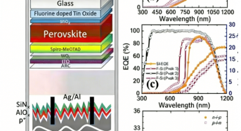 30.2%! Transparent 4T Perovskite Solar Cells Reach High Efficiency Via Ion-Modulated HTL