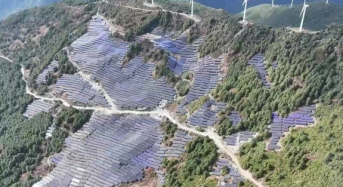 1.2GW! HJT Module Collaboration Between Risen Energy and Huaneng Group Hits Milestone