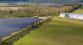 Global PV Additions Set for First Two-Decade Fall in 2026