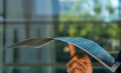 PV | 0.85mm! SolarWindow ultra-thin solar modules achieve 24.4% efficiency